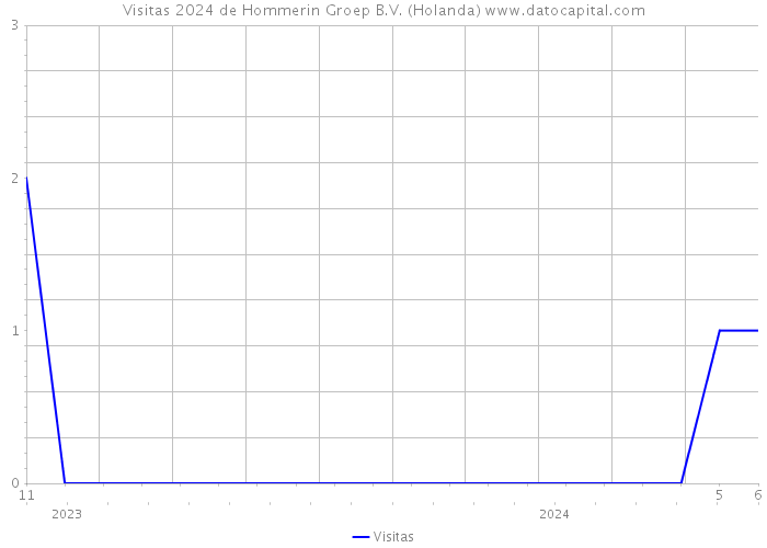 Visitas 2024 de Hommerin Groep B.V. (Holanda) 