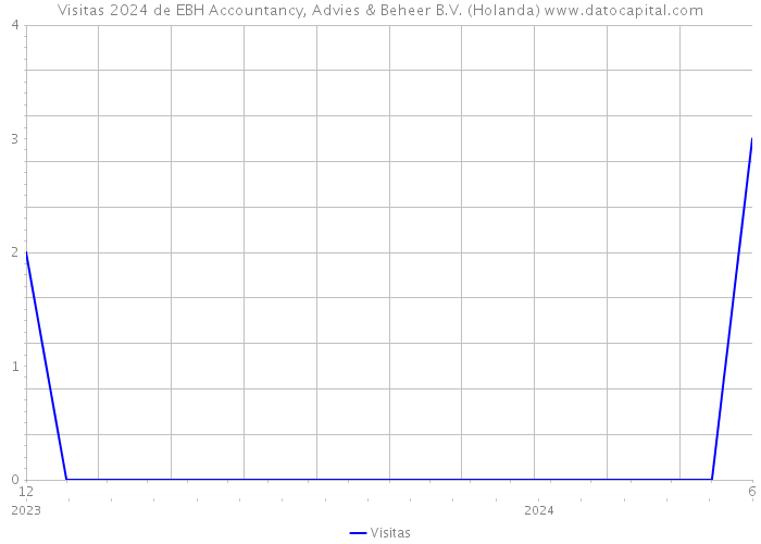 Visitas 2024 de EBH Accountancy, Advies & Beheer B.V. (Holanda) 