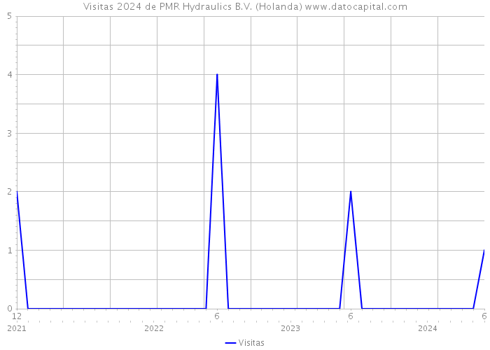 Visitas 2024 de PMR Hydraulics B.V. (Holanda) 