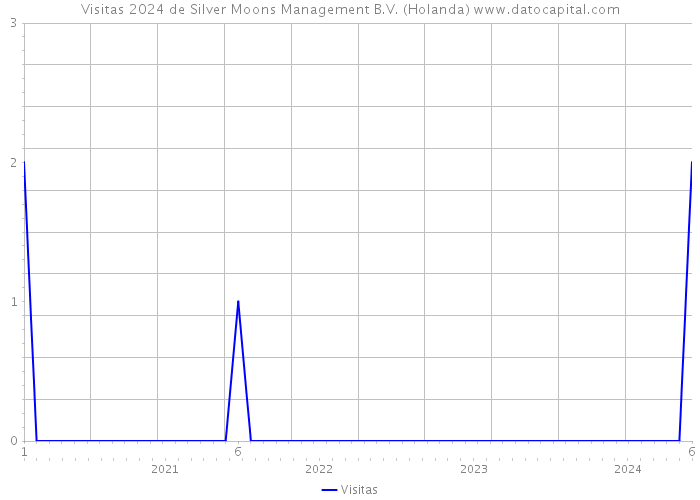 Visitas 2024 de Silver Moons Management B.V. (Holanda) 