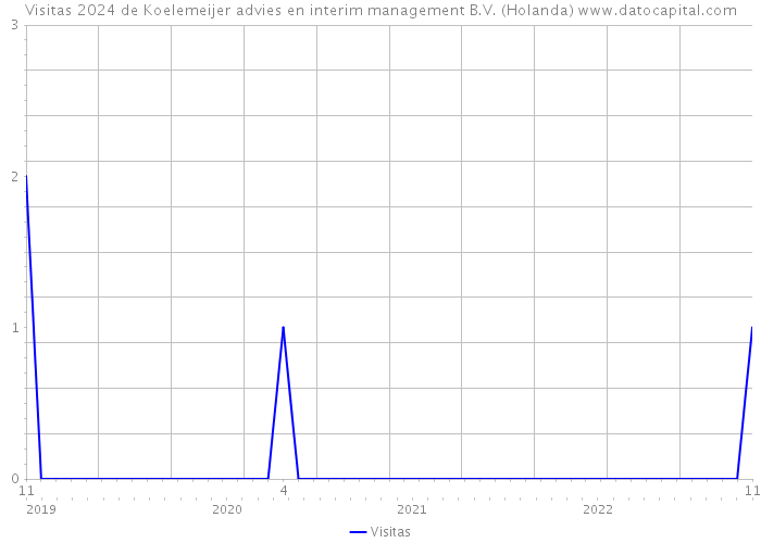 Visitas 2024 de Koelemeijer advies en interim management B.V. (Holanda) 