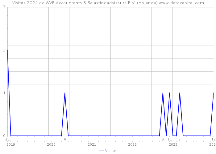 Visitas 2024 de WVB Accountants & Belastingadviseurs B.V. (Holanda) 