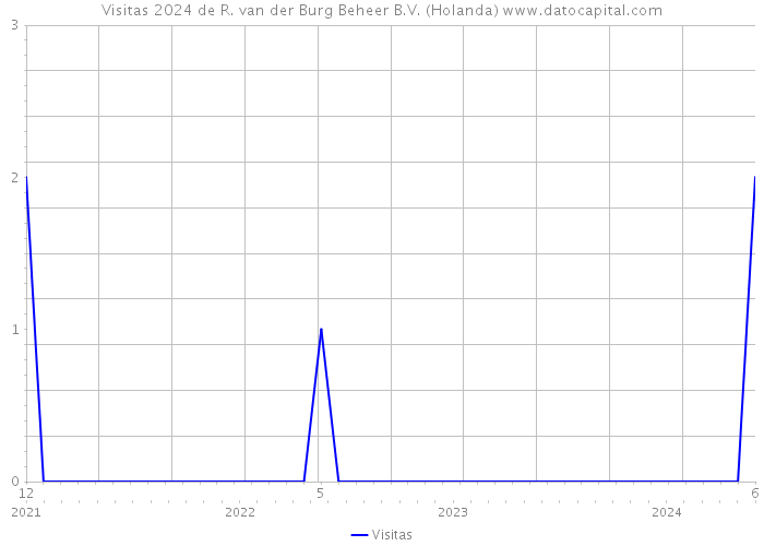 Visitas 2024 de R. van der Burg Beheer B.V. (Holanda) 