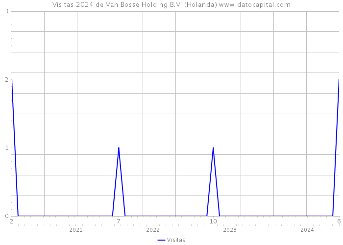 Visitas 2024 de Van Bosse Holding B.V. (Holanda) 