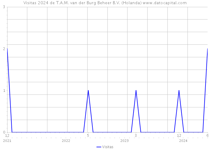 Visitas 2024 de T.A.M. van der Burg Beheer B.V. (Holanda) 