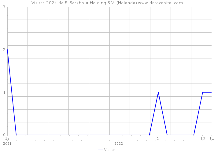 Visitas 2024 de B. Berkhout Holding B.V. (Holanda) 