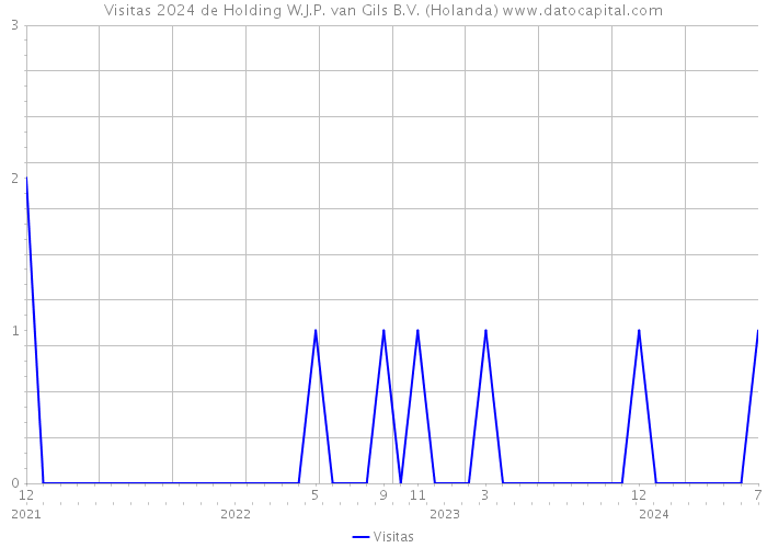 Visitas 2024 de Holding W.J.P. van Gils B.V. (Holanda) 