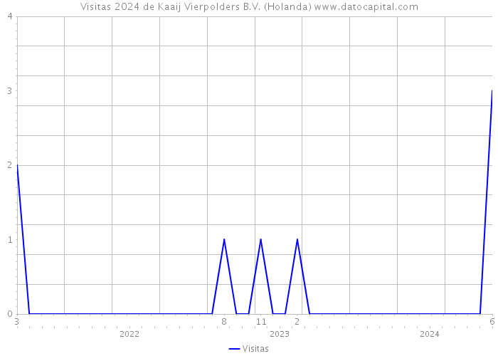 Visitas 2024 de Kaaij Vierpolders B.V. (Holanda) 