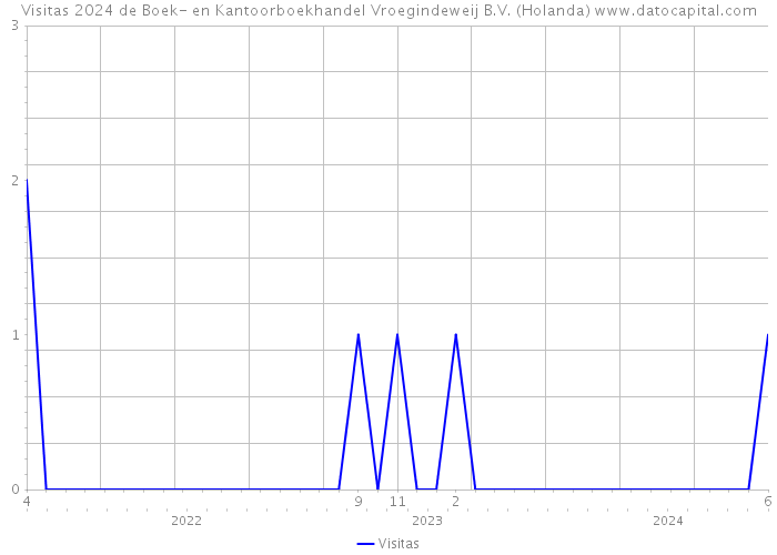 Visitas 2024 de Boek- en Kantoorboekhandel Vroegindeweij B.V. (Holanda) 