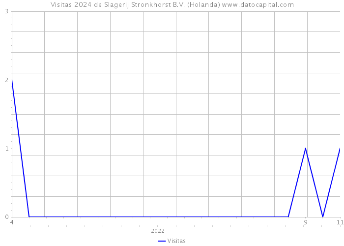 Visitas 2024 de Slagerij Stronkhorst B.V. (Holanda) 