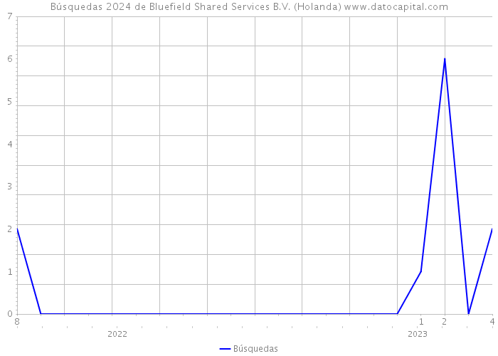 Búsquedas 2024 de Bluefield Shared Services B.V. (Holanda) 