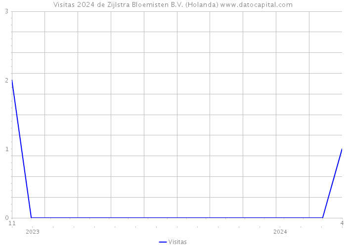 Visitas 2024 de Zijlstra Bloemisten B.V. (Holanda) 