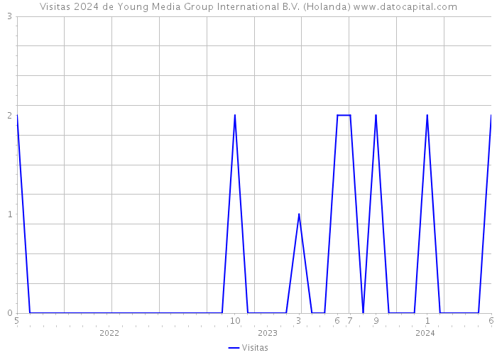 Visitas 2024 de Young Media Group International B.V. (Holanda) 