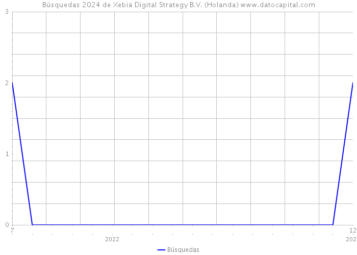 Búsquedas 2024 de Xebia Digital Strategy B.V. (Holanda) 