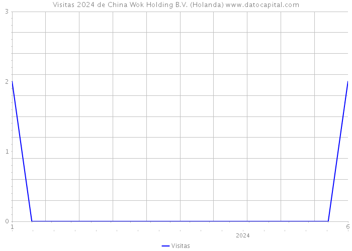 Visitas 2024 de China Wok Holding B.V. (Holanda) 