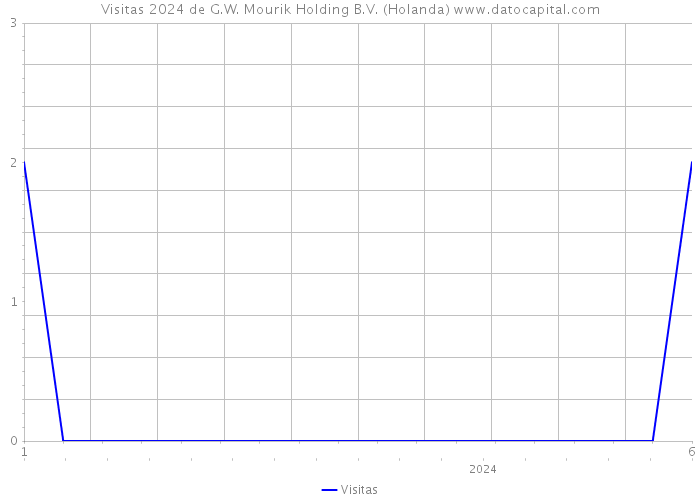 Visitas 2024 de G.W. Mourik Holding B.V. (Holanda) 