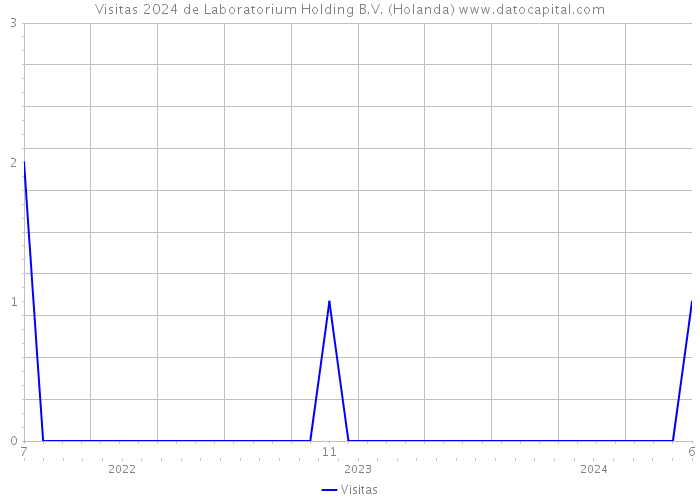 Visitas 2024 de Laboratorium Holding B.V. (Holanda) 