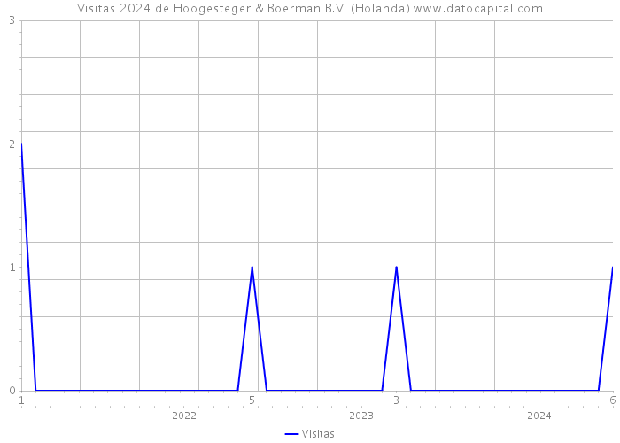 Visitas 2024 de Hoogesteger & Boerman B.V. (Holanda) 