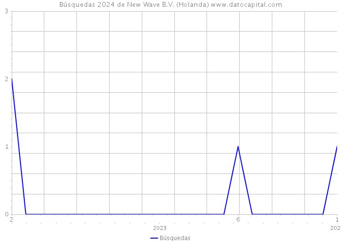 Búsquedas 2024 de New Wave B.V. (Holanda) 