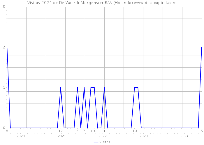 Visitas 2024 de De Waardt Morgenster B.V. (Holanda) 