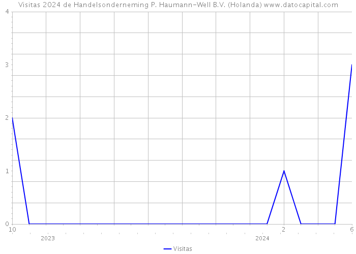 Visitas 2024 de Handelsonderneming P. Haumann-Well B.V. (Holanda) 