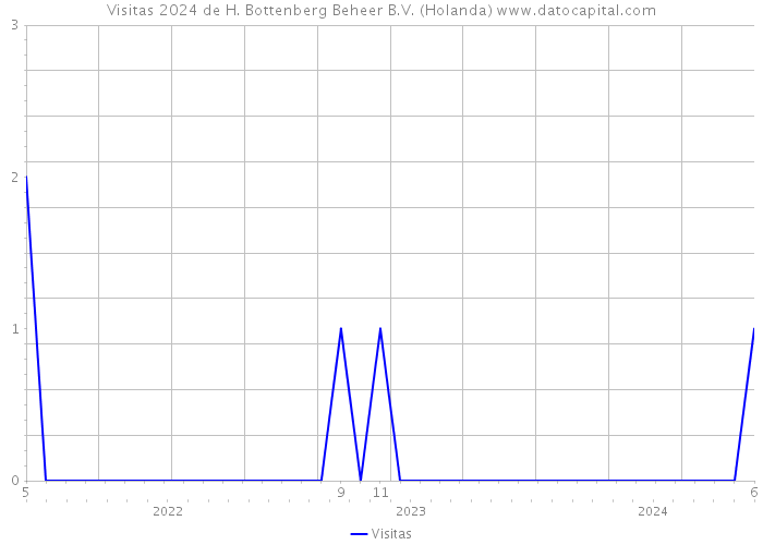 Visitas 2024 de H. Bottenberg Beheer B.V. (Holanda) 