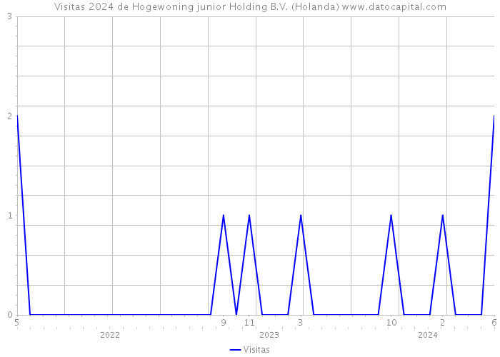 Visitas 2024 de Hogewoning junior Holding B.V. (Holanda) 