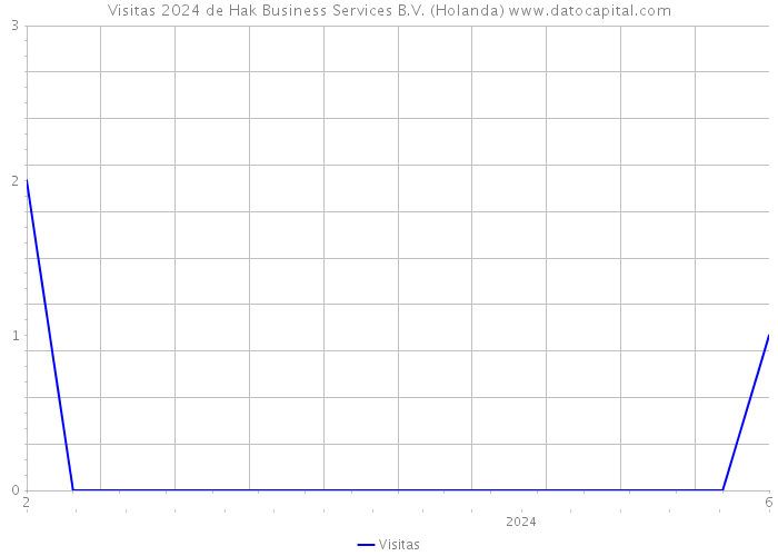 Visitas 2024 de Hak Business Services B.V. (Holanda) 