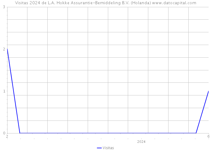 Visitas 2024 de L.A. Hokke Assurantie-Bemiddeling B.V. (Holanda) 