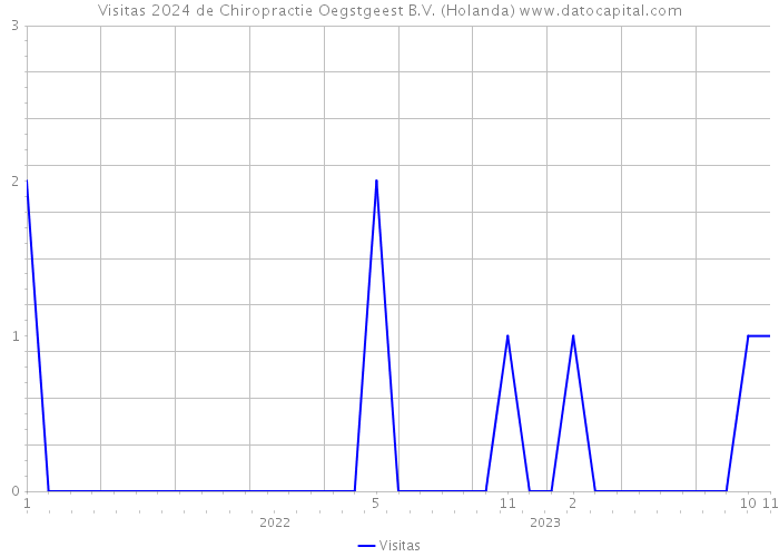 Visitas 2024 de Chiropractie Oegstgeest B.V. (Holanda) 