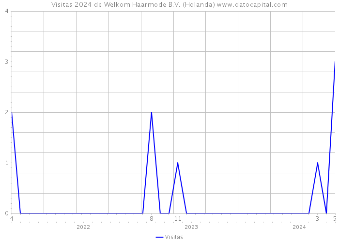 Visitas 2024 de Welkom Haarmode B.V. (Holanda) 