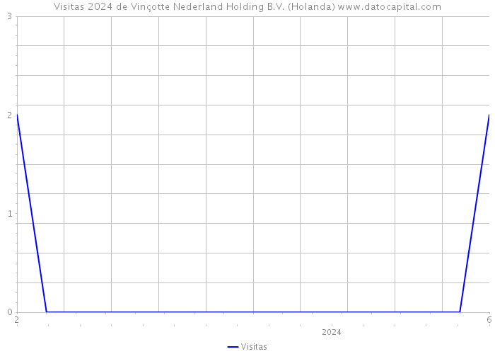 Visitas 2024 de Vinçotte Nederland Holding B.V. (Holanda) 