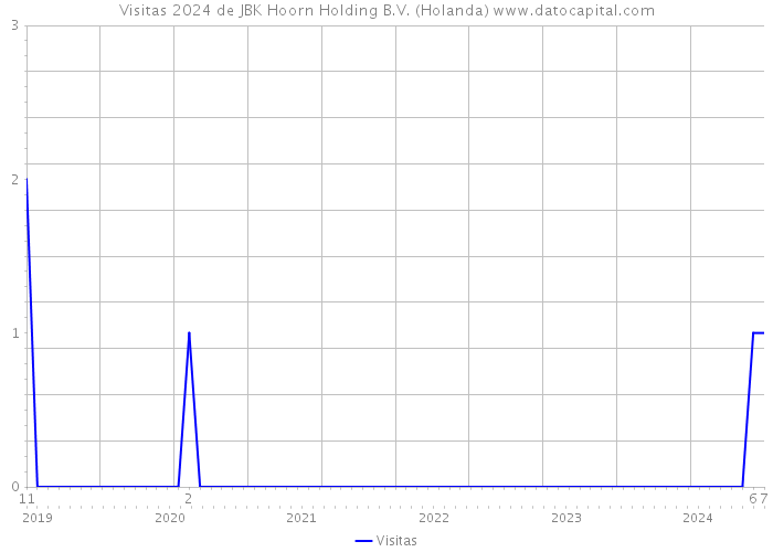 Visitas 2024 de JBK Hoorn Holding B.V. (Holanda) 