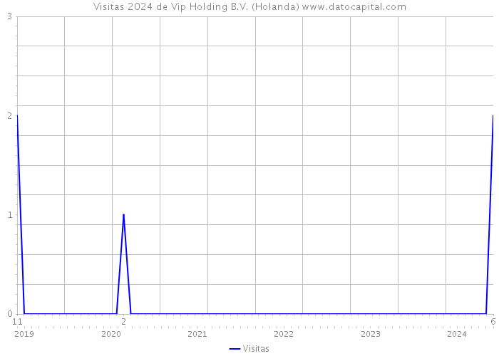 Visitas 2024 de Vip Holding B.V. (Holanda) 