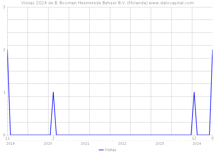 Visitas 2024 de B. Booman Heemstede Beheer B.V. (Holanda) 