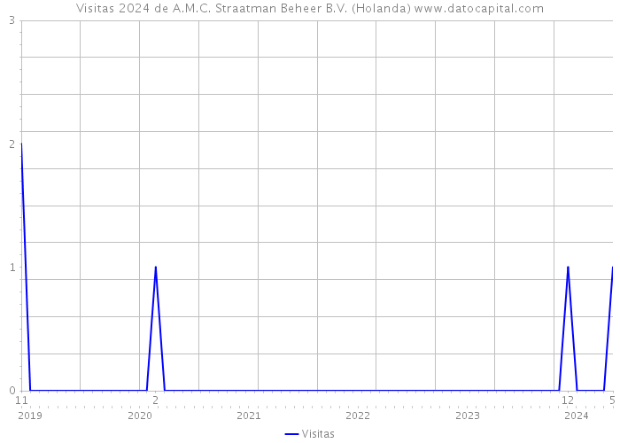 Visitas 2024 de A.M.C. Straatman Beheer B.V. (Holanda) 