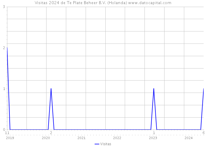 Visitas 2024 de Te Plate Beheer B.V. (Holanda) 