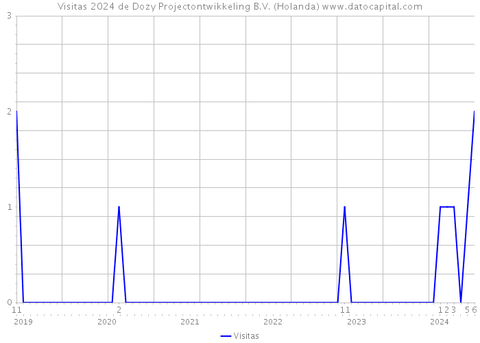 Visitas 2024 de Dozy Projectontwikkeling B.V. (Holanda) 