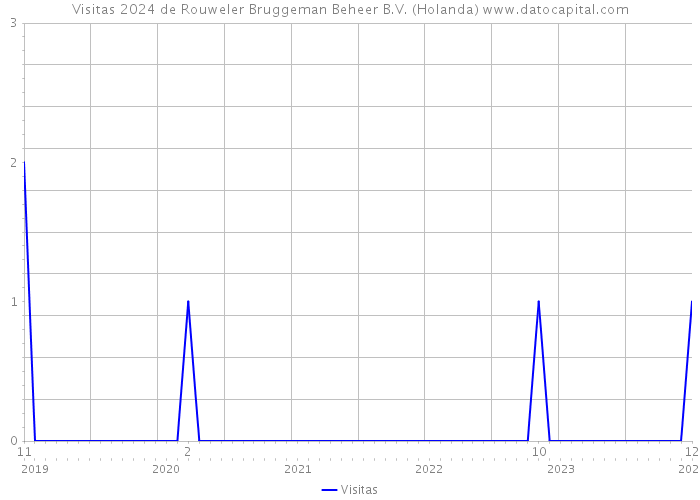 Visitas 2024 de Rouweler Bruggeman Beheer B.V. (Holanda) 