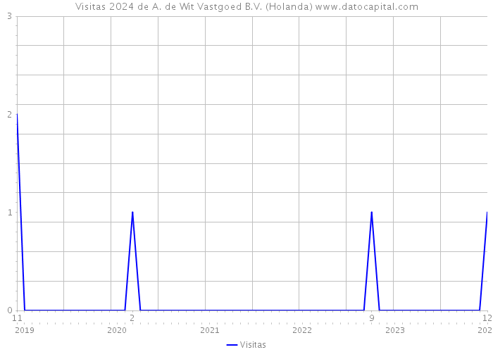 Visitas 2024 de A. de Wit Vastgoed B.V. (Holanda) 