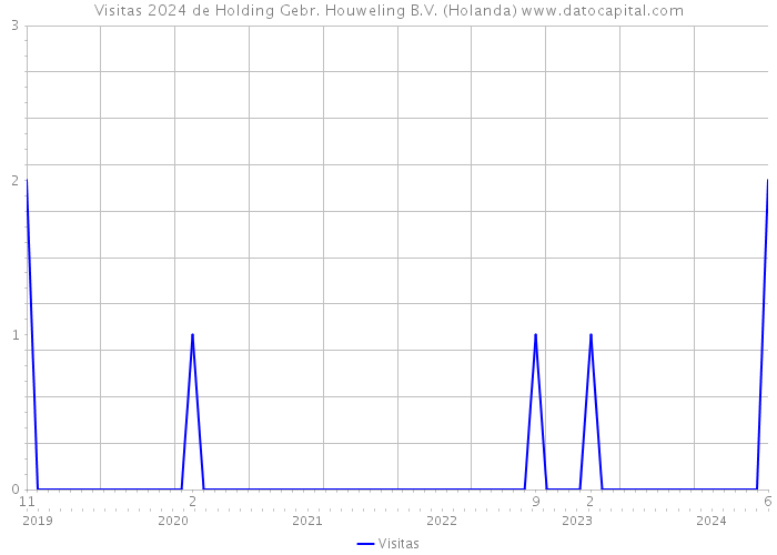 Visitas 2024 de Holding Gebr. Houweling B.V. (Holanda) 