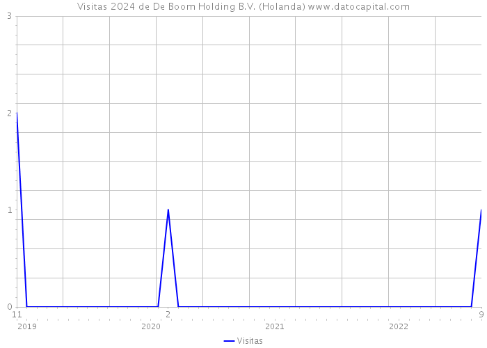 Visitas 2024 de De Boom Holding B.V. (Holanda) 