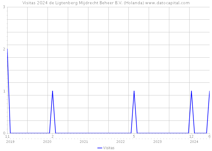 Visitas 2024 de Ligtenberg Mijdrecht Beheer B.V. (Holanda) 