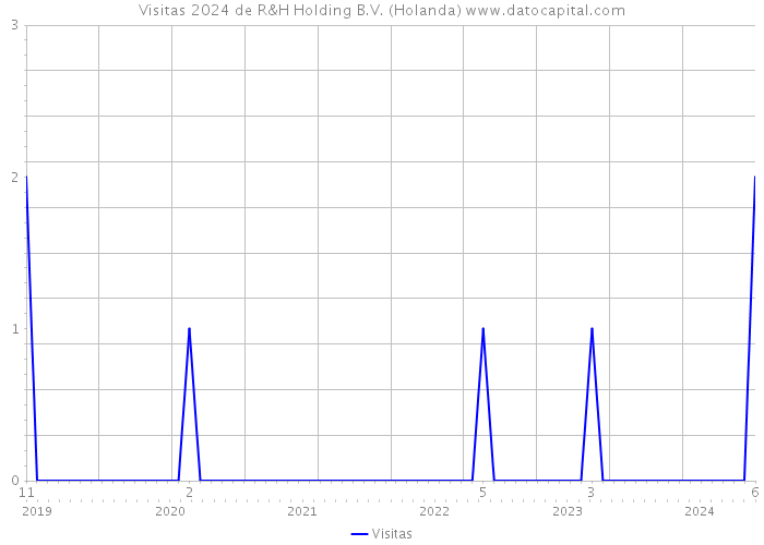 Visitas 2024 de R&H Holding B.V. (Holanda) 