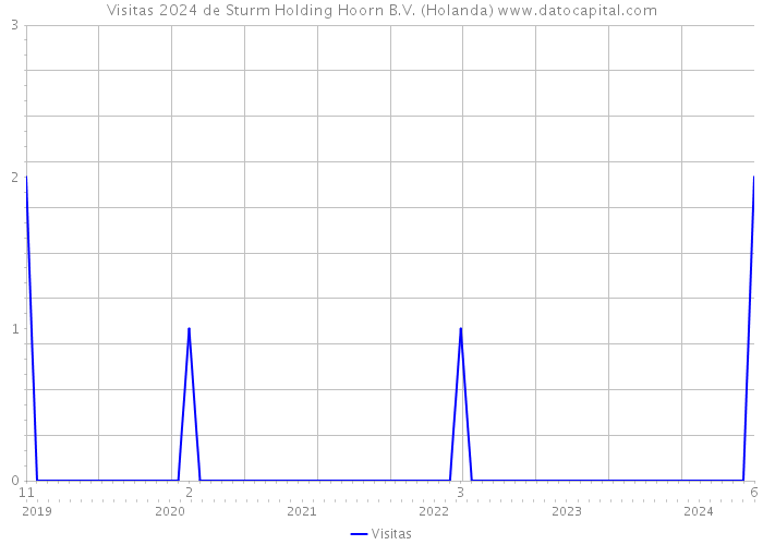 Visitas 2024 de Sturm Holding Hoorn B.V. (Holanda) 