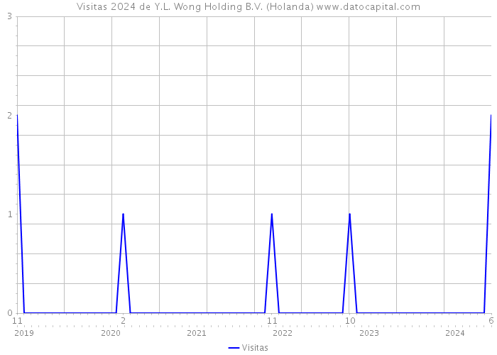 Visitas 2024 de Y.L. Wong Holding B.V. (Holanda) 