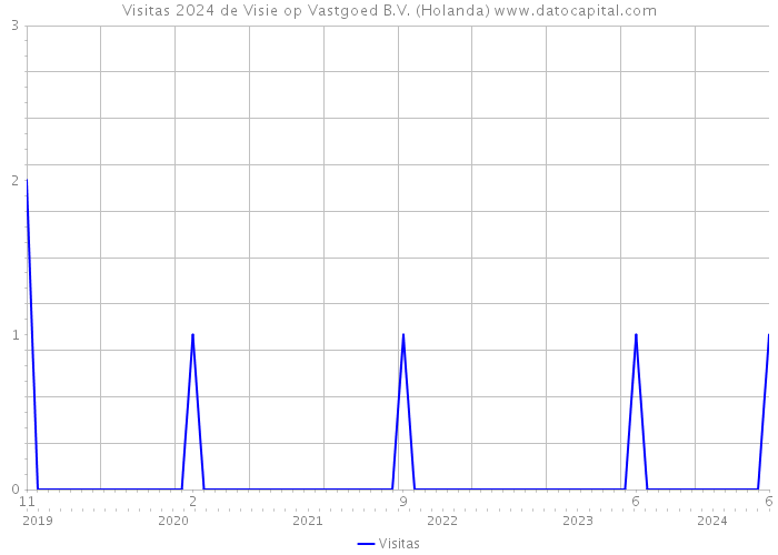 Visitas 2024 de Visie op Vastgoed B.V. (Holanda) 