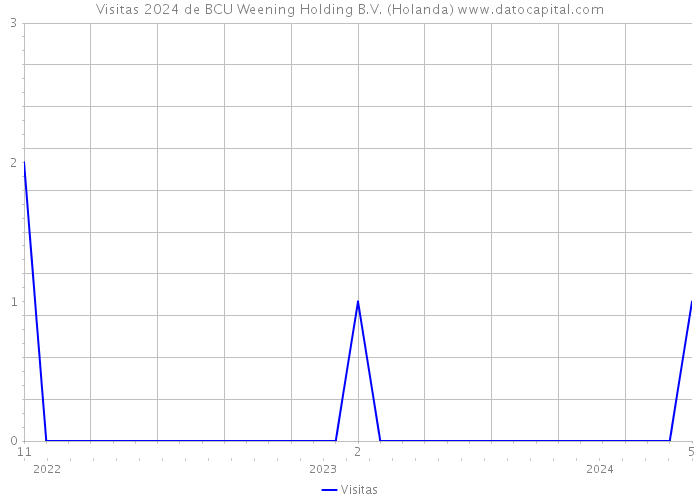 Visitas 2024 de BCU Weening Holding B.V. (Holanda) 