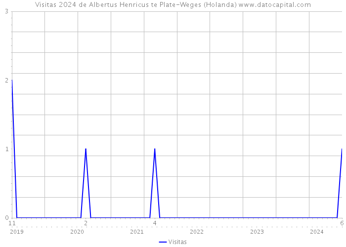 Visitas 2024 de Albertus Henricus te Plate-Weges (Holanda) 