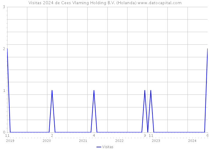 Visitas 2024 de Cees Vlaming Holding B.V. (Holanda) 